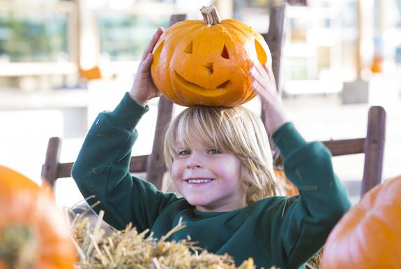 Halloween | Ferienresort Cochem